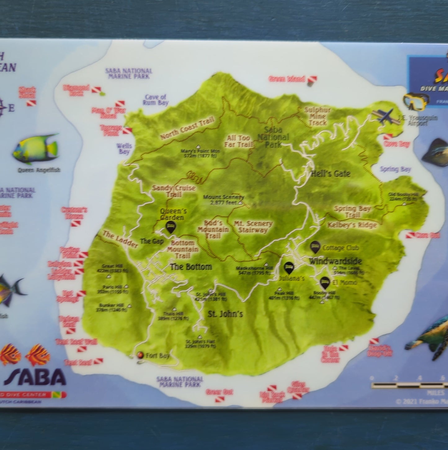 Sea Saba Map Fish ID Sheet